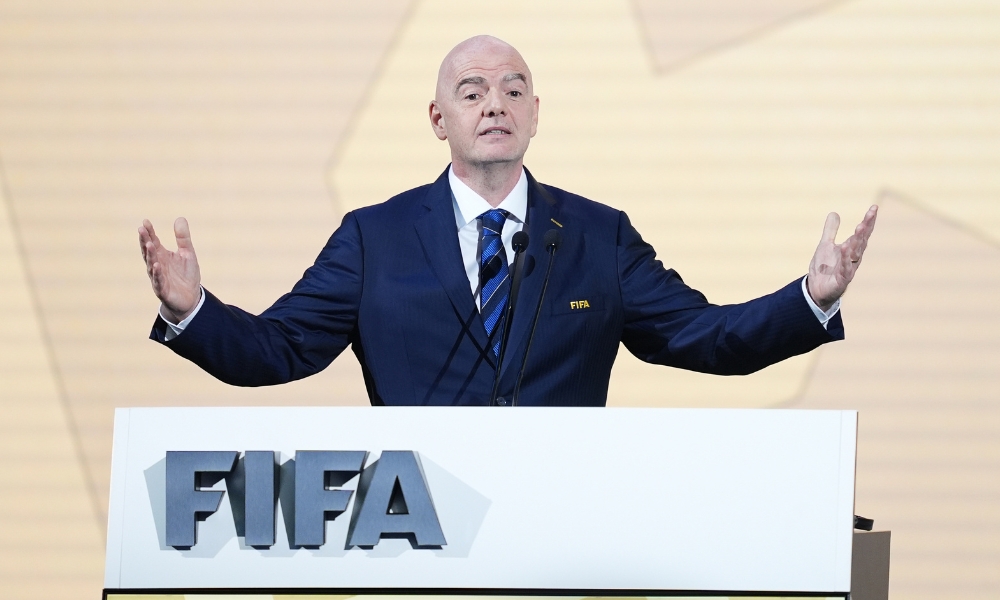 己的职业 己的职业